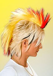 hairskin fanperücke 2